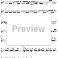 The Four Seasons, No. 2: Summer - Solo Violin