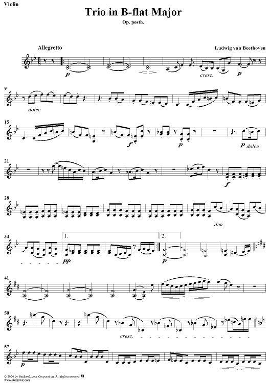 Trio in B-flat Major, Op. posth. - Violin