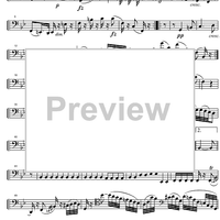 String Quintet G Major Op.33 - Cello