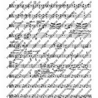 2. Concerto in C - Viola