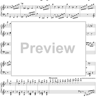 Two Cadenzas to Mozart: Piano Concerto No. 20 in D Minor, K466