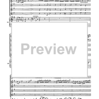 Double Concerto for Recorder and Flute in E minor - Score