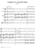 Symphony No. 24 in B-flat Major, K182 - Full Score