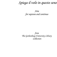 Spiega il volo in questo seno