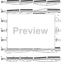 Caprice No. 20 from "Twenty-Four Caprices"