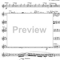 Carnival of Venice - Fantasia Brillante - E-flat Cornet