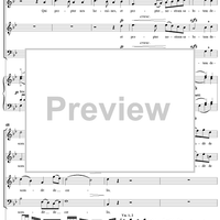 Mass No. 13 in B-flat Major: No. 3, Credo