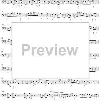 Flute Concerto in G Major, Op. 10, No. 6 - Cello