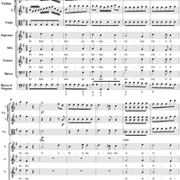 Mass (Missa brevis) No. 1 in G Major, Credo