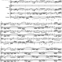 Double Violin Concerto - Score