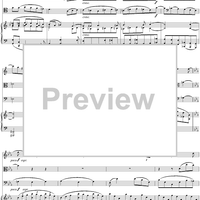 Piano Quartet no. 1 in G minor, op. 25: Movement 3