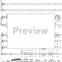 Mass No. 13 in B-flat Major: No. 5, Benedictus