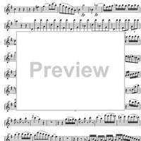 Concerto No. 1 G Major KV313 - Flute