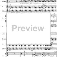 Il Carnevale degli animali di Venezia - Score