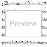 Vejle Aadal on a Autumn Monday