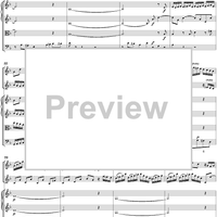 Double Violin Concerto - Score