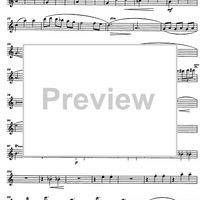 Divertimento Op.69 - Flute