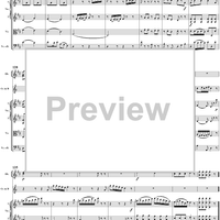 Horn Concerto No. 1 in D Major, K386b (K412 & K514)