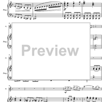 Argentinian Rhapsody - Score