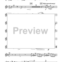 Harry Potter Symphonic Suite - Piccolo