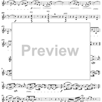 Trio No. 1 in F Major - Violin