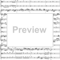 Clavier Concerto No. 1 in D Minor, Movement 1 (BWV 1052) - Score