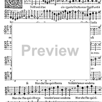 Quest'ordî il laccio, questa