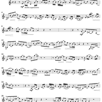 "Ach, bleibe doch, mein liebstes Leben", Aria, No. 4 from Cantata No. 11: "Lobet Gott in seinen Reichen" - Violin