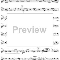 Grand Duo in D Major, Op. 39, No. 3 - Flute 1