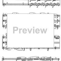 Impromptu No.25 Op.84 - Score