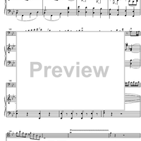 Concerto Bb Major KV191 - Score