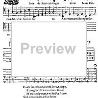 Cinta di chiari e di fulgenti rai