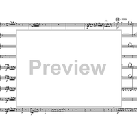 Mvt. 1 from Concerto in B-flat, K. 191 - Score
