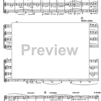 Divertimento preistorico - Score