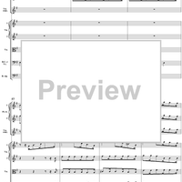 Concerto in E minor: Movement 1 - Full Score