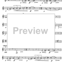 Divertimento - Horn in F