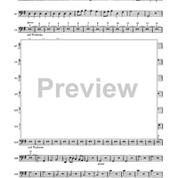 Double Concerto for Recorder and Flute in E minor - Basso Continuo
