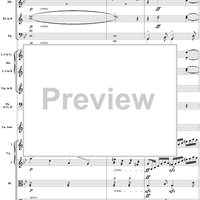 Violin Concerto No. 1, Movement 1 - Score