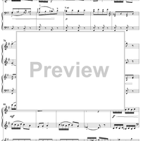 Concert Fantasy. Part 2. Contrastes