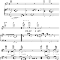 Look What Love's Revealing