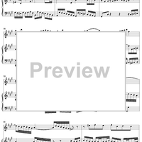 Flute Sonata No. 3, Movement 1
