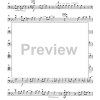 DMO: A Jazz Cello Quartet - Cello 2