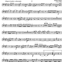 String Quartet A Major Op.20 No. 6 - Cello