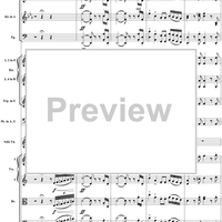 Violin Concerto in A minor, Op. 53, Movmt. 1, Allegro ma non troppo