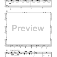 At the Tour de France