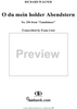 Tannhäuser, WWV70, Act 3, No. 25b - O du mein holder Abendstern by Richard Wagner