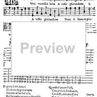 Tutta vezzosa e bella