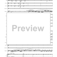 Violin Concerto in E Minor, Movement 3 - Full Score