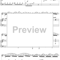 Flute Concerto in G Major, Allegro - Piano