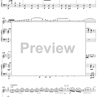 Flute Concerto in G Major - Piano Score